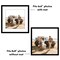 Americanflat Picture Frame with Mat - Modern Design, Shatter-Resistant Glass, Dual Sawtooth Hangers, Ideal for Home and Office Decor